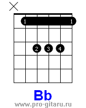 7б полковник аккорды Bb