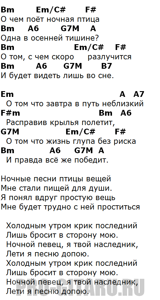 О чем поет ночная аккорды. Аккорды. Аккорды песен. Птичка аккорды. Аккорды песен для гитары.