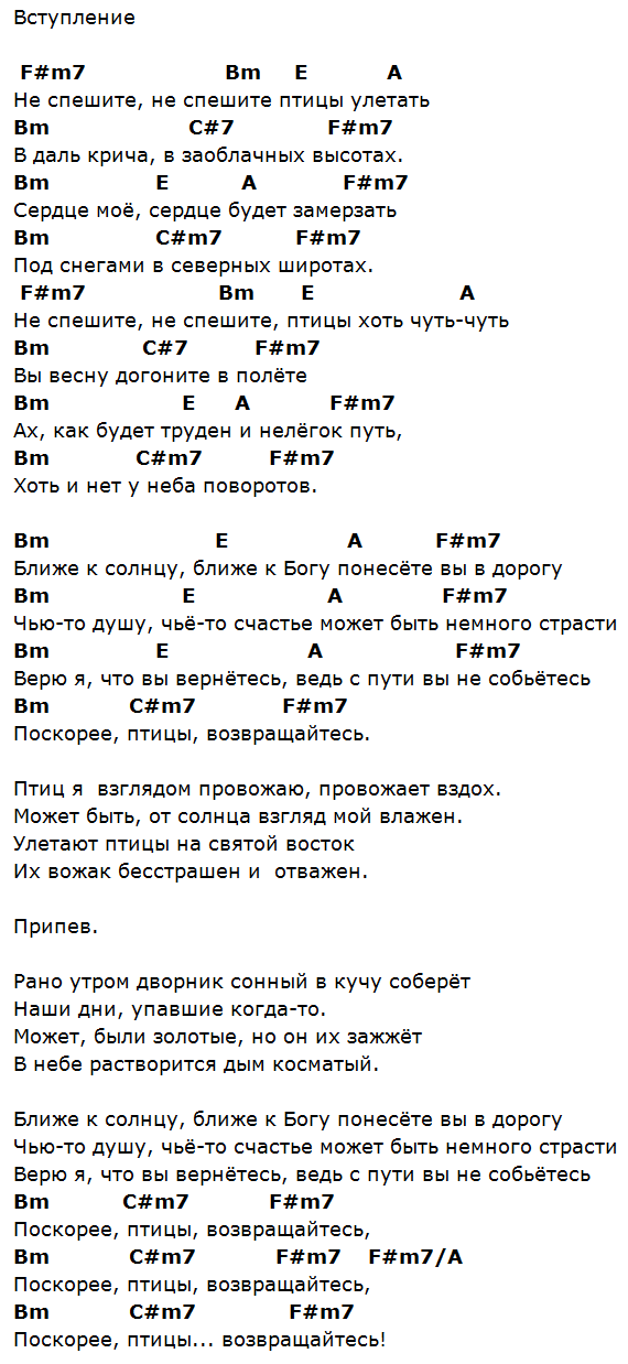 Птичка аккорды на гитаре. Птицы Барыкин аккорды на гитаре. Птичка аккорды. Аккорды аэропорт Барыкин. Птицы Барыкин текст.